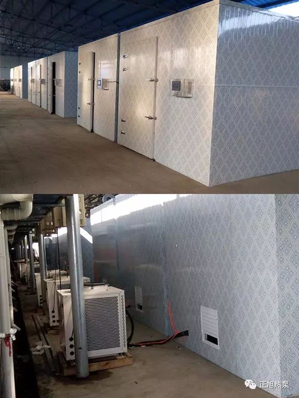 熱泵烘干茶葉設備 熱泵烘干茶葉設備