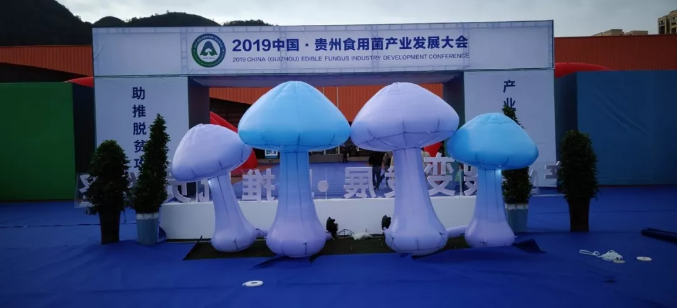 【貴州食用菌博覽會】正旭新能源自主研發多功能高效超高溫熱泵蒸汽機震撼問世