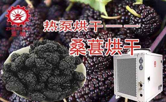 桑葚?zé)岜煤娓晒に? alt=