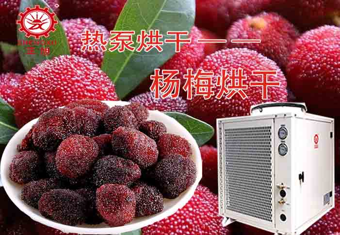 楊梅熱泵烘干工藝 楊梅熱泵烘干工藝