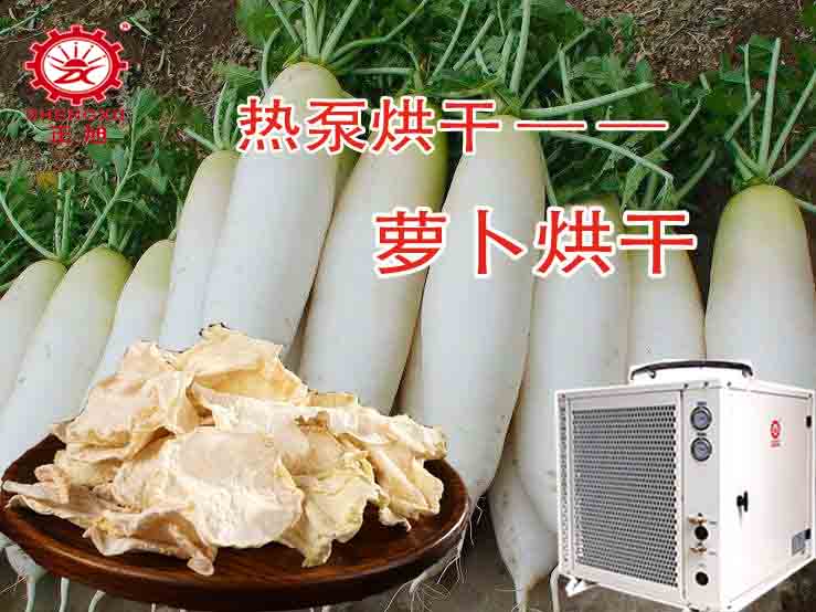 蘿卜熱泵烘干工藝 蘿卜熱泵烘干工藝