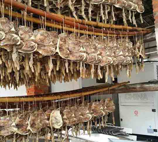 如何建造空氣能烘干房?烘干房價格高嗎? 如何建造空氣能烘干房?烘干房價格高嗎?