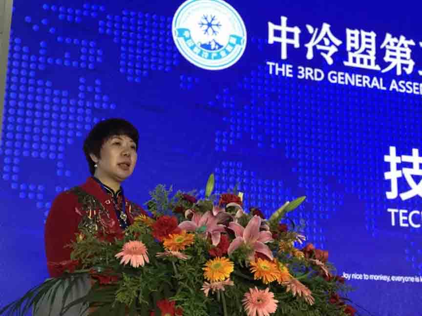 正旭熱泵集團陳帥榮作中冷盟匯報 正旭熱泵集團陳帥榮作中冷盟匯報