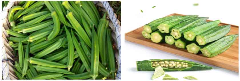 黃秋葵熱泵烘干機 黃秋葵熱泵烘干機