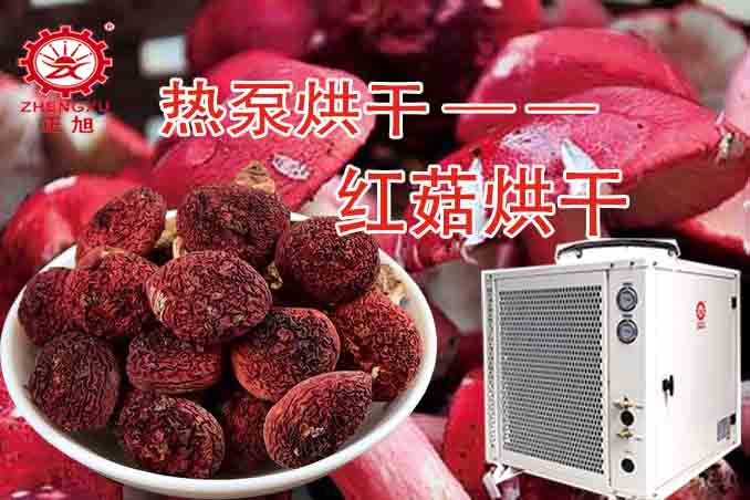 紅菇熱泵烘干機(烘干溫度和烘干時間) 紅菇熱泵烘干機(烘干溫度和烘干時間)