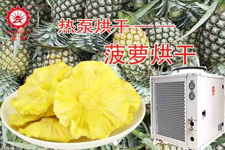 正旭菠蘿熱泵烘干效果圖組 正旭菠蘿熱泵烘干效果圖組