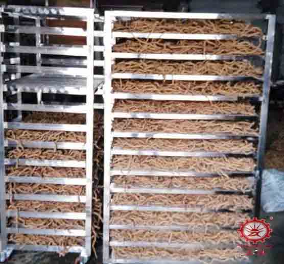 巴戟天烘干工藝(烘干溫度和烘干時間) 巴戟天烘干工藝(烘干溫度和烘干時間)