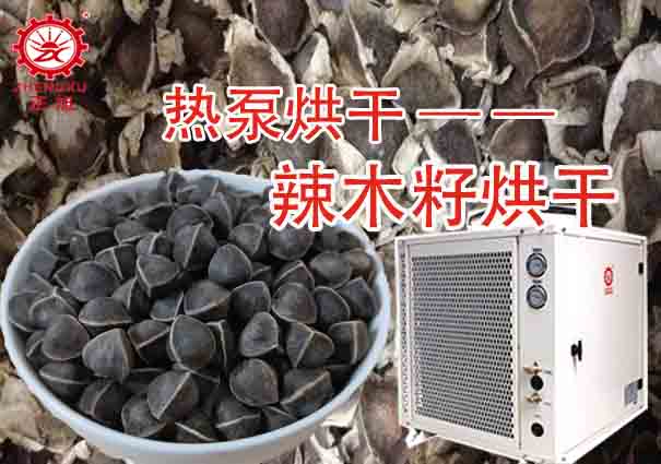 辣木籽烘干工藝(烘干溫度和烘干時間) 辣木籽烘干工藝(烘干溫度和烘干時間)