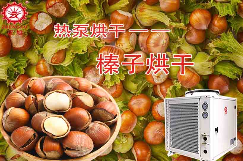 正旭榛子烘干工藝及烘干設備 正旭榛子烘干工藝及烘干設備