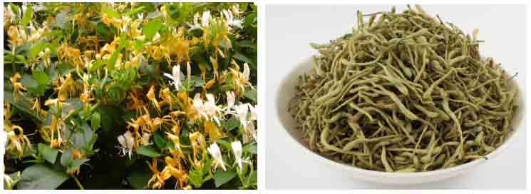 金銀花烘干機價格和原理 金銀花烘干機價格和原理