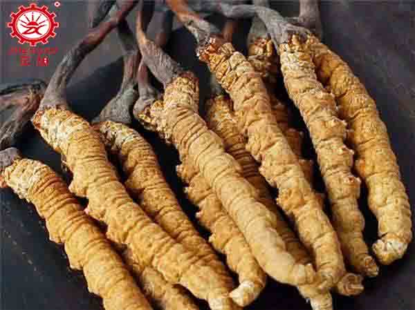 蟲草水洗后能空氣能烘干嗎? 蟲草水洗后能空氣能烘干嗎?