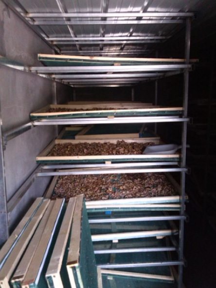 江蘇泗洪無花果烘干項目